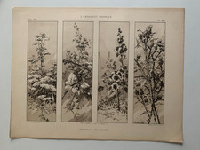 J.HABERT-DYS PLANCHE