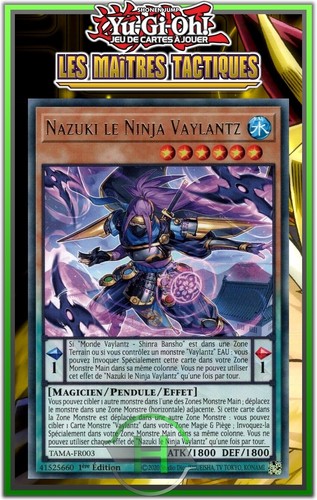 Nazuki ninja vaylantz r - nazuki,