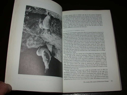 The study animal behaviour - of,