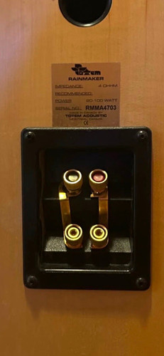 Totem acoustic rainmaker - totem,