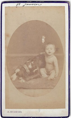 Chien bébé photo - bébé,