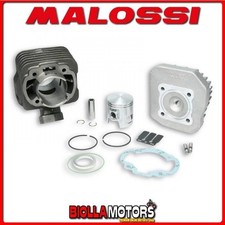 317133 cylindre kit malossi - cylindre,