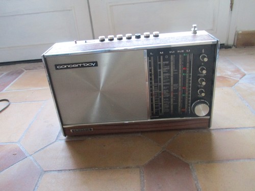 Radio grundig concert - concert, boy