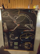 CARTE SCOLAIRE DR AUZOUX - LA LAPIN  - P SOUGY  - 100X130 CM - VINTAGE