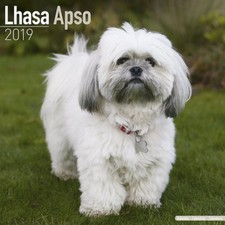 Calendrier 2019 - LHASSA APSO