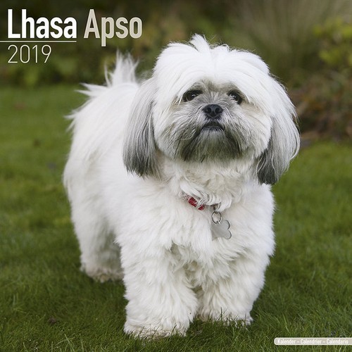 Calendrier 2019 lhassa - calendrier,