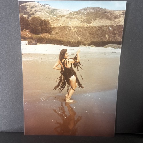 Photo hot seaweed - photo, beach