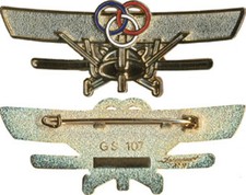 LEGION ETRANGERE, Brevet de