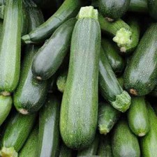 10 Graines - Courgette Verte