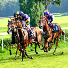 METHODE de TURF : GLADIATURF