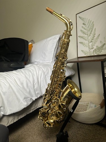Alto saxophone - alto,