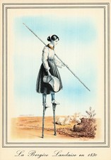 40 LA LANDE LA BERGERE