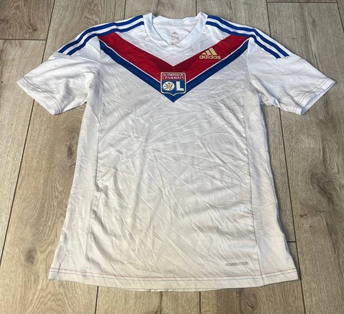 Olympique lyonnais 2012 2014 - lyonnais, 2012/2014