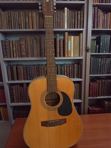 Guitare acoustique cort ad870 - acoustique,