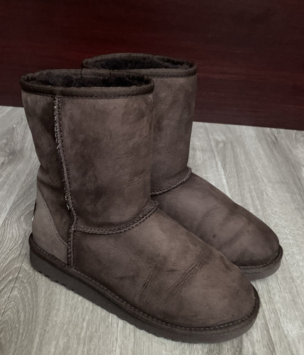 Ugg classic short - classic, ii