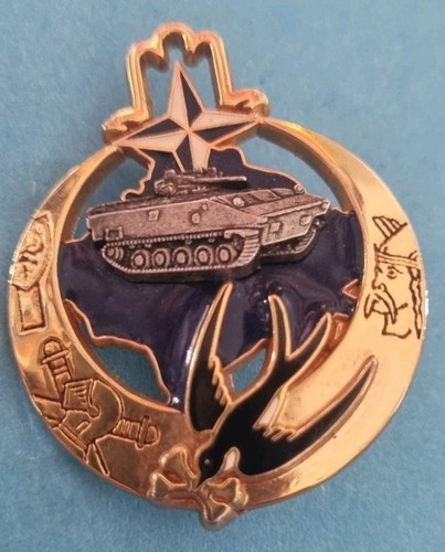 Insigne tirailleurs kfor - 1°, tirailleurs,