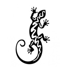 Salamandre autocollant sticker