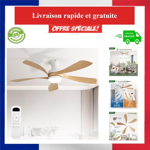 Sofucor ventilateur plafond - ventilateur, de