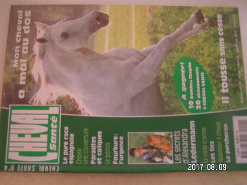Cheval santé n 4 pure - cheval,