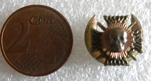 Politique croix feu - croix,