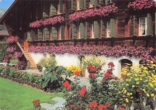 SUISSE GSTAAD CHALET MILLE