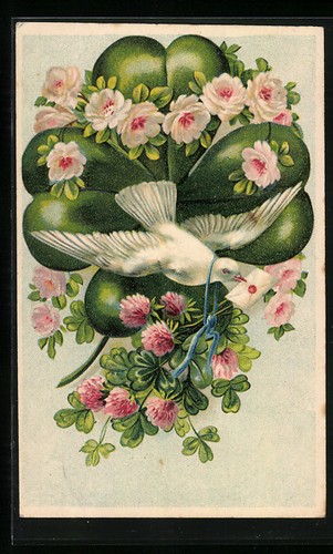 Carte postale pigeon voyageur