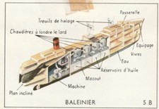 IMAGE REMISCOPE des  Biscuits