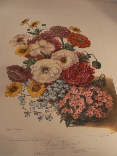 Ancienne gde lithographie - ancienne,