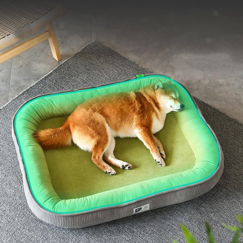 Tapis pour chien lit - chien, chaud