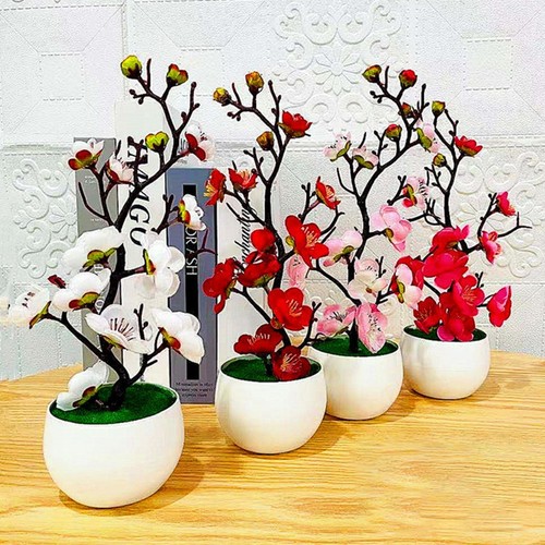 Simulation bonsaï fleurs - fleurs, en
