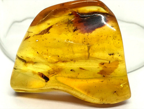 Piece ambre petits - 4,
