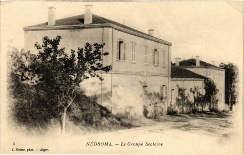 Cpa algeria geiser 5 - geiser,
