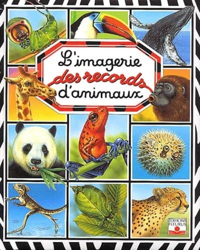 L'Imagerie des records