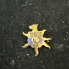 Pin’s  Johnny Hallyday Chanteur Musique