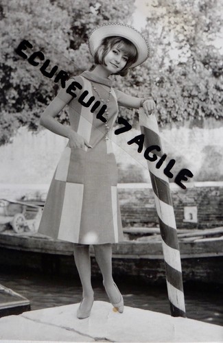 Photo mode 1960 rosier - photo, à