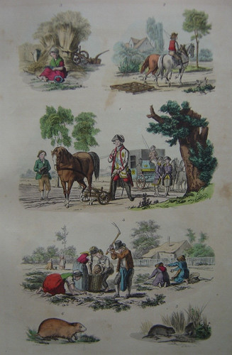 Gravure travaux des champs - gravure,