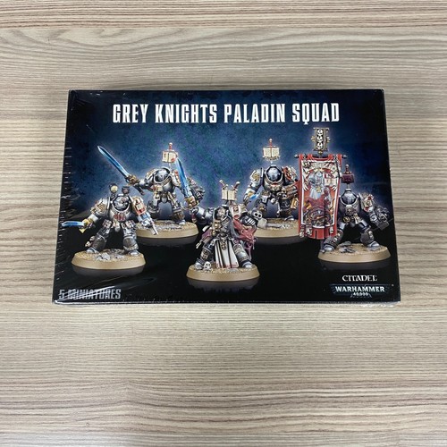 Gris chevaliers paladin - chevaliers,