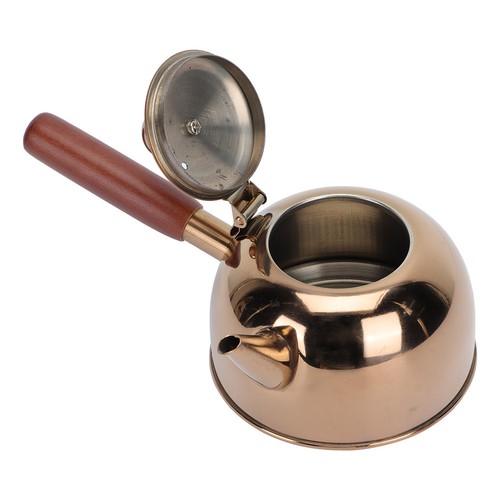 Bouilloire pour cuisiniere - bouilloire,