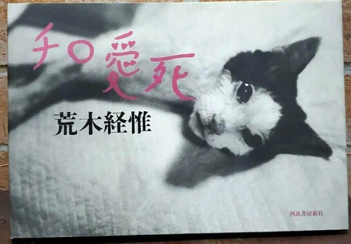 Livre japonais nobuyoshi - livre,