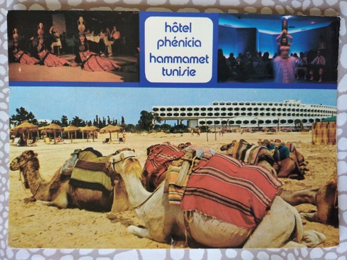 Cpm hammamet hôtel - ",