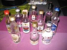 lot de 10 mignonnettes vodka