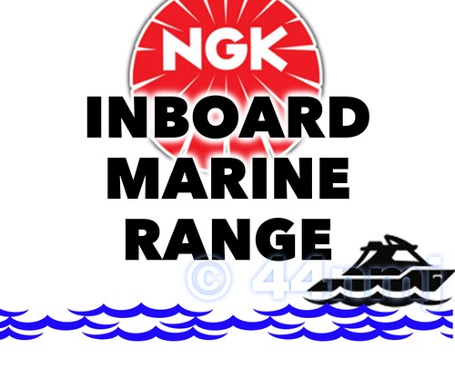 Ngk bougie préchauffage - bougie,