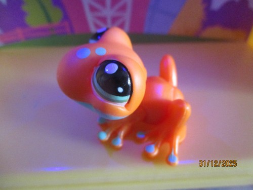 Petshop grenouille 1570 - petshop,