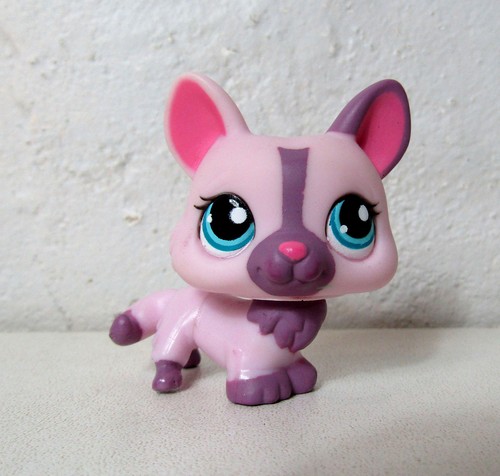 Petshop chien corgi - , 1645