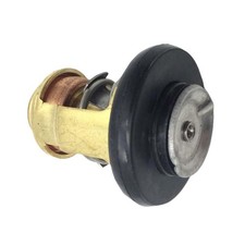 Thermostat pour moteur