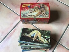 BOITE MÉTAL MERVEILLES DU MONDE NESTLÉ + LOT DE 75 CARTES Années 80  -  TBE