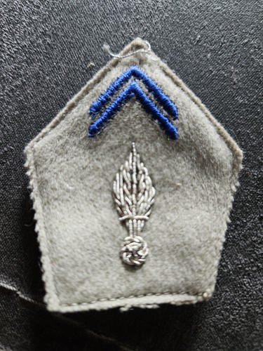 Patte col militaire - patte,