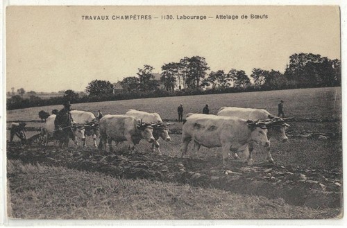 Travaux champetres labourage - champetres,
