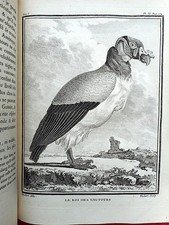 BUFFON Histoire naturelle