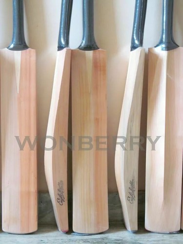 Batte cricket saule - de,